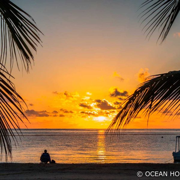 a person watches a beautiful sunset silhouetted by the golden light of the setting sun