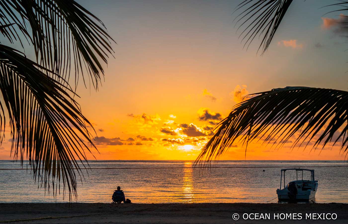 a person watches a beautiful sunset silhouetted by the golden light of the setting sun