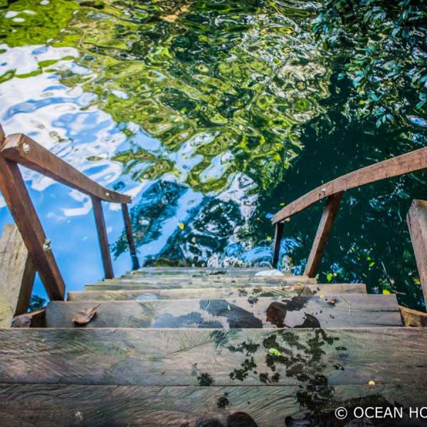 wooden steps leads down to the waters of a cenote in puerto morelos