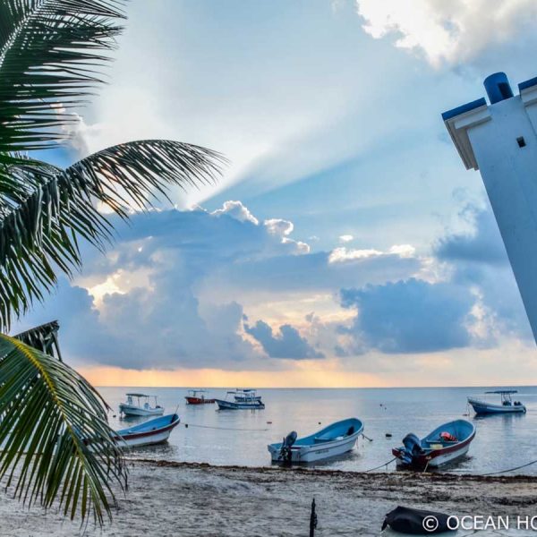 a small lighthouse leans precariously near a small palm tree on the beach where boats are anchored. Light streaks from beyond the clouds as a woman looks on.