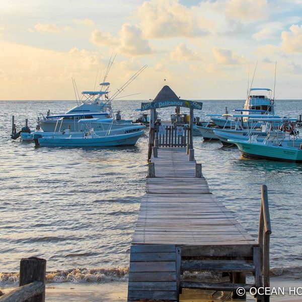 Fishing boats harbored at a dock. A sign on the dock reads Pelicanos Yacht Club